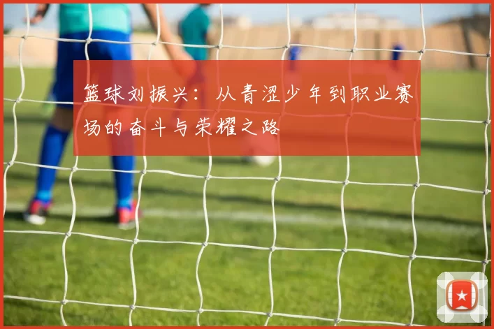 篮球刘振兴：从青涩少年到职业赛场的奋斗与荣耀之路
